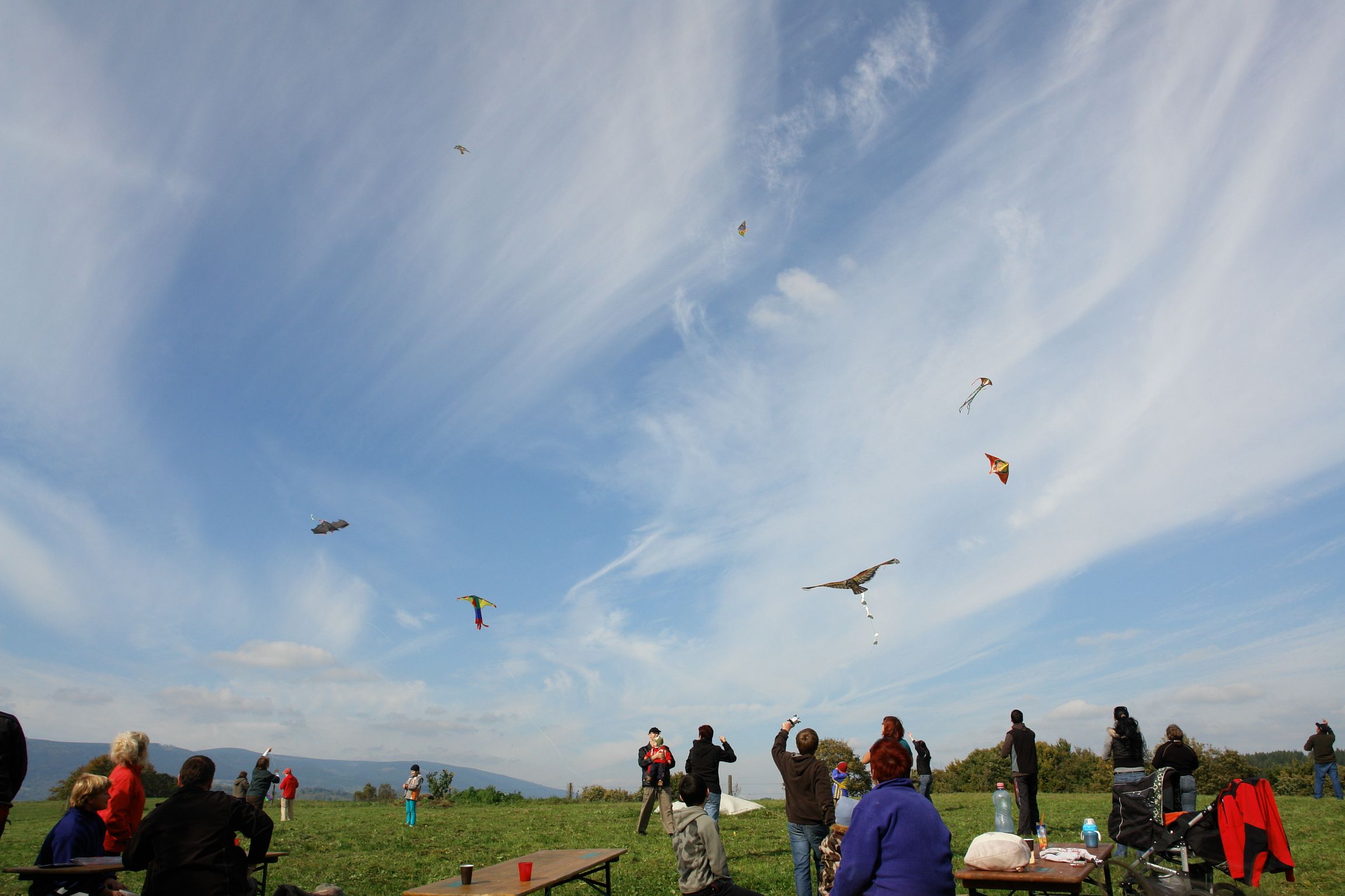 drakyáda 4 _2010